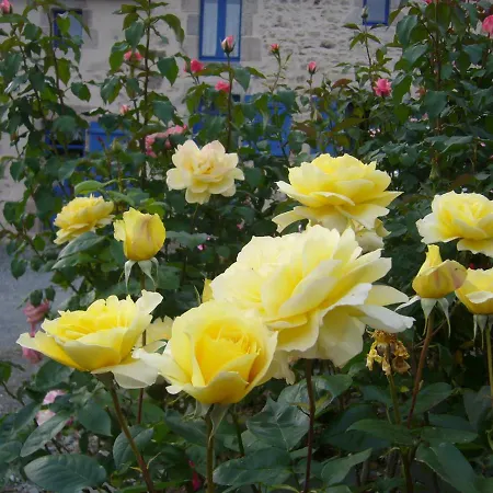 La Petite Vallee 3* La Chapelle-Largeau