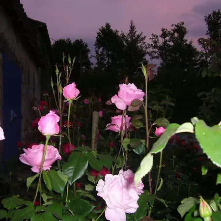 B&B La Petite Vallee La Chapelle-Largeau