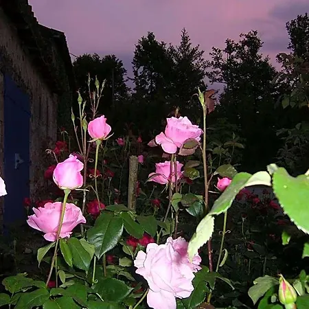La Petite Vallee Bed & Breakfast