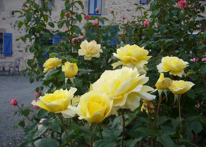 La Petite Vallee 3* La Chapelle-Largeau